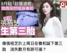 内地娱乐圈最新爆料新闻,当红明星背后惊人内幕曝光