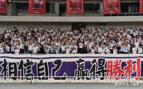 天津泰达公司最新爆料,揭秘重大商业动态与战略布局